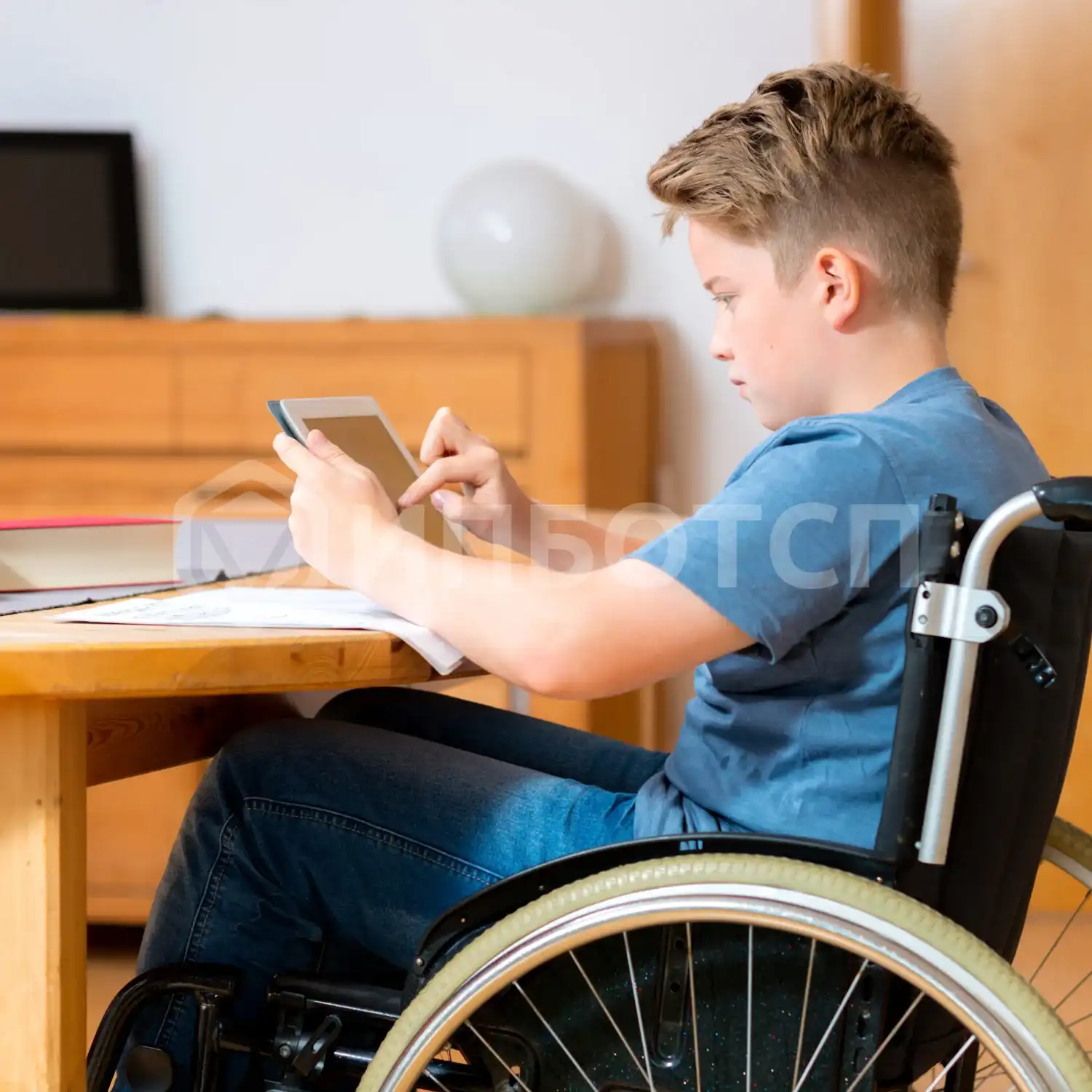 Дистанционное обучение детей инвалидов