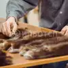 Консервировщик кожевенного и пушномехового сырья