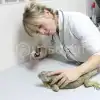 Зоолаборант серпентария (питомника)